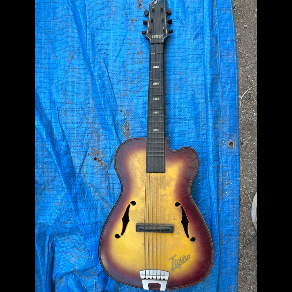 Sunburst tiger guitar